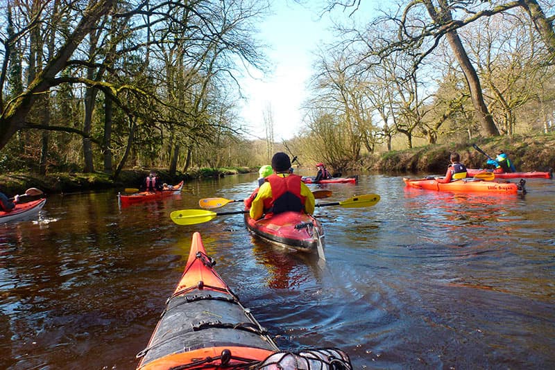 Kleinflussfahrt auf der Oste